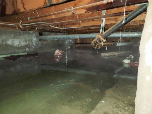 Local water damage restoration