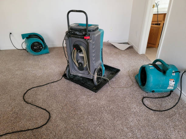 Best Commercial water damage restoration  in Jersey Village, TX