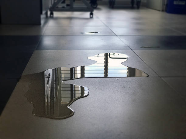 Best Water damage restoration process  in Jersey Village, TX