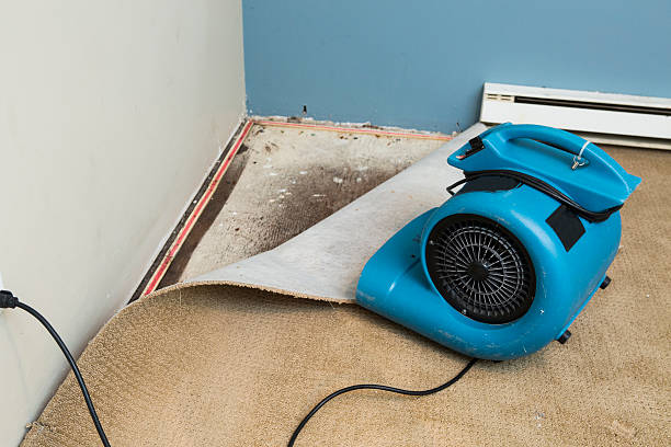 Best Sewage cleanup and water damage restoration  in Jersey Village, TX